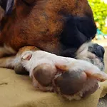 Zimmervermietung Zahn ベッド・アンド・ブレックファスト Baalberge