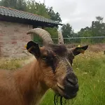 Zimmervermietung Zahn