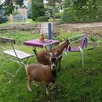 Zimmervermietung Zahn * Baalberge