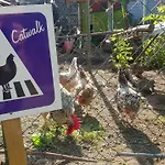 ベッド・アンド・ブレックファスト Zimmervermietung Zahn