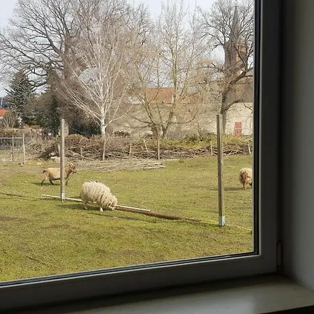 Zimmervermietung Zahn Baalberge