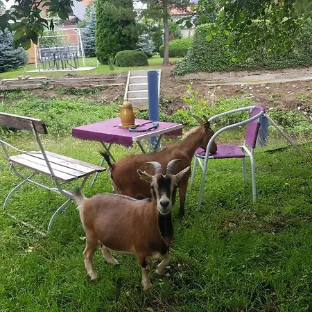 Zimmervermietung Zahn * Baalberge