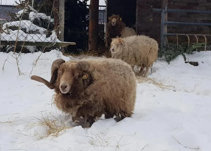 Bed & Breakfast Zimmervermietung Zahn