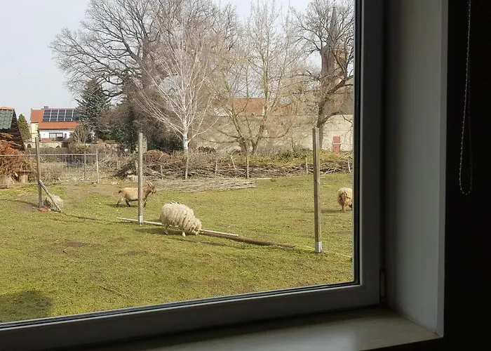 Zimmervermietung Zahn Baalberge