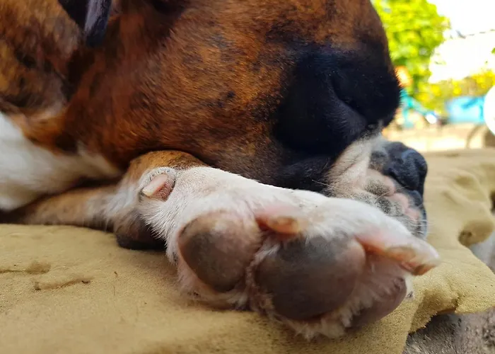 Zimmervermietung Zahn Bed & Breakfast Baalberge