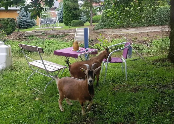 Zimmervermietung Zahn * Baalberge