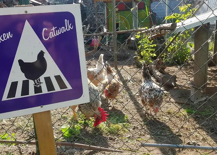 Bed & Breakfast Zimmervermietung Zahn